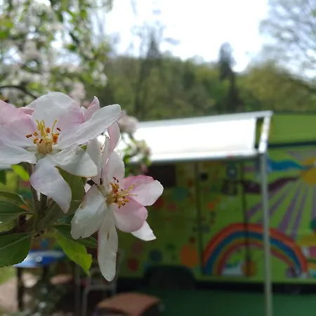 Campsite La Woodstock